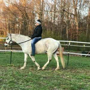 Meet your Posher, Ann